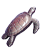 Soft -Shelled Turtle   W : 21 cm  H : 23 cm  WT : 1080 g