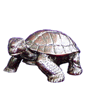 Turtle     W : 13 cm  H : 10 cm  WT : 340 g